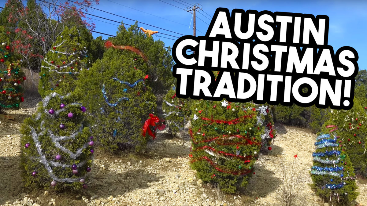 Austin Christmas Tradition Loop 360 Christmas Tree Decorating ParrisTX